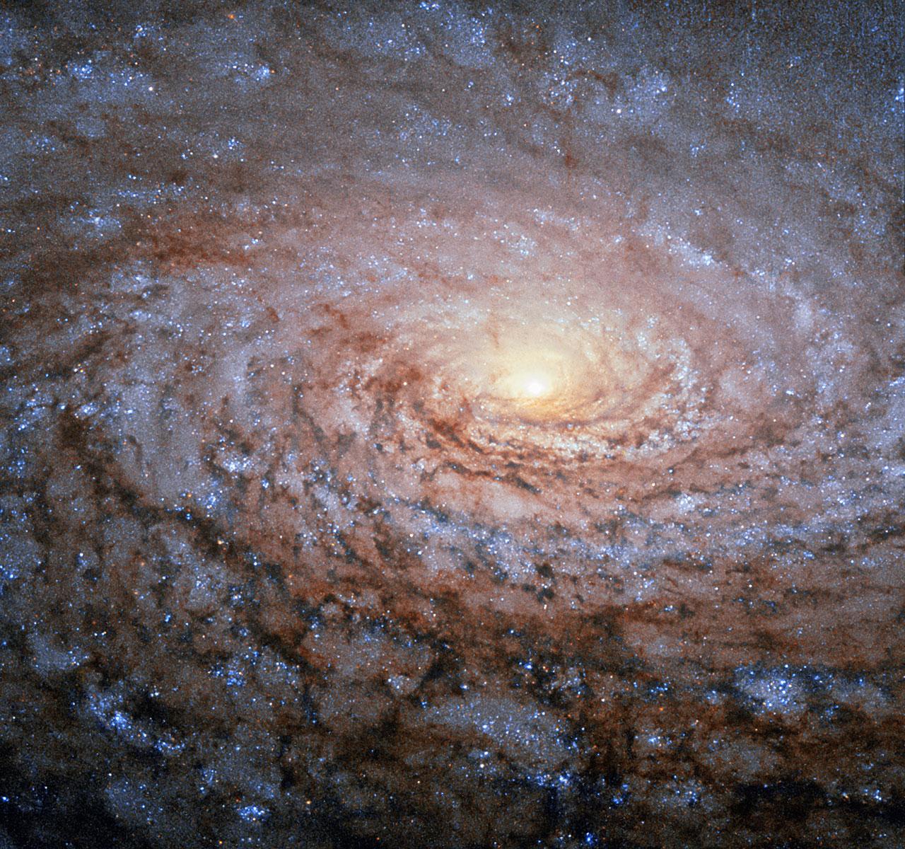 Image of the Sunflower Galaxy. Swirl of reds, blues, and whites around a bright center.